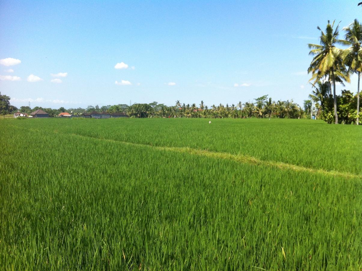 Seminyak Hideaway酒店 外观 照片